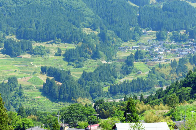 初夏の山里