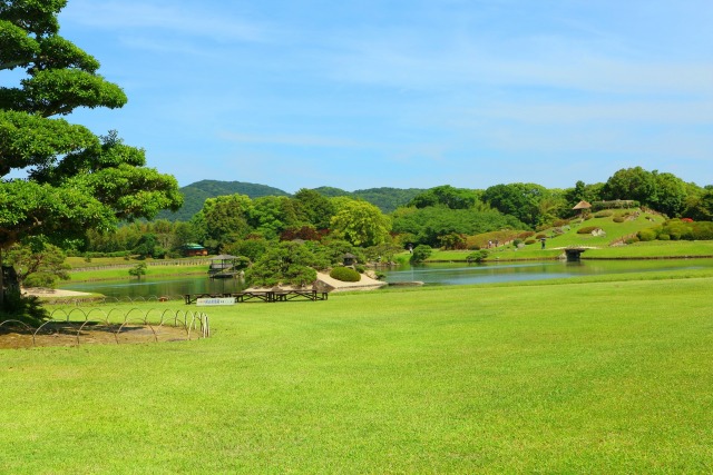 新緑の後楽園