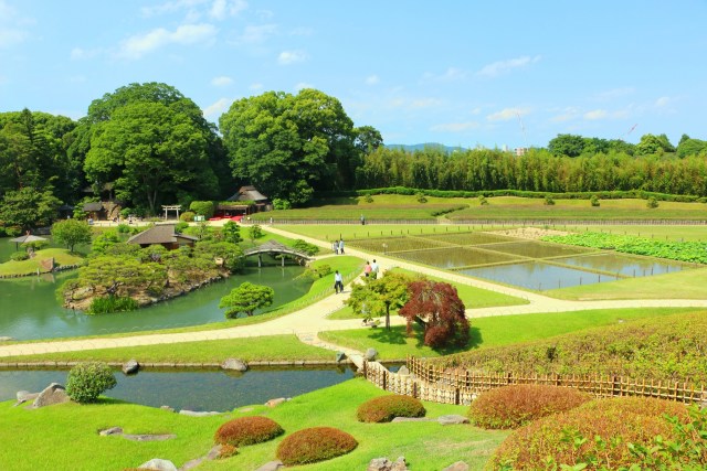 新緑の後楽園