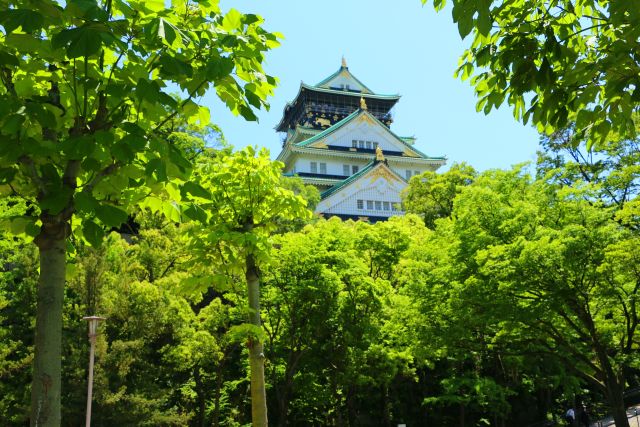 新緑の大阪城