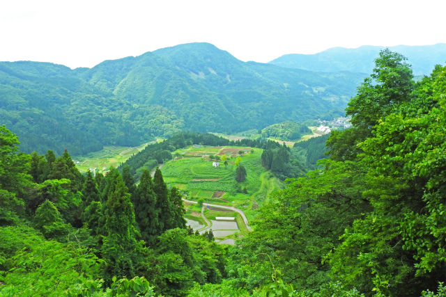 初夏の山里2