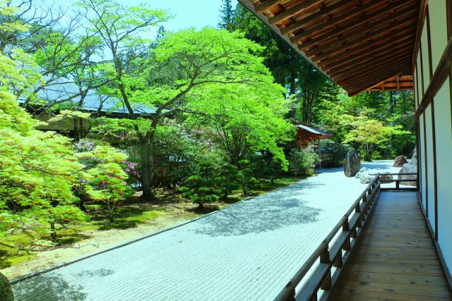 新緑の高野山