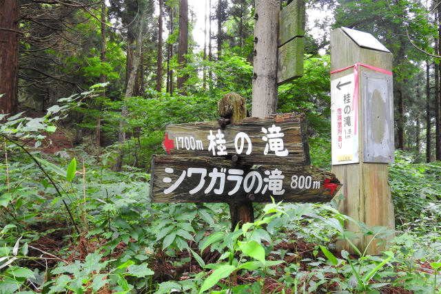 日本の風景 道標 初夏 壁紙館