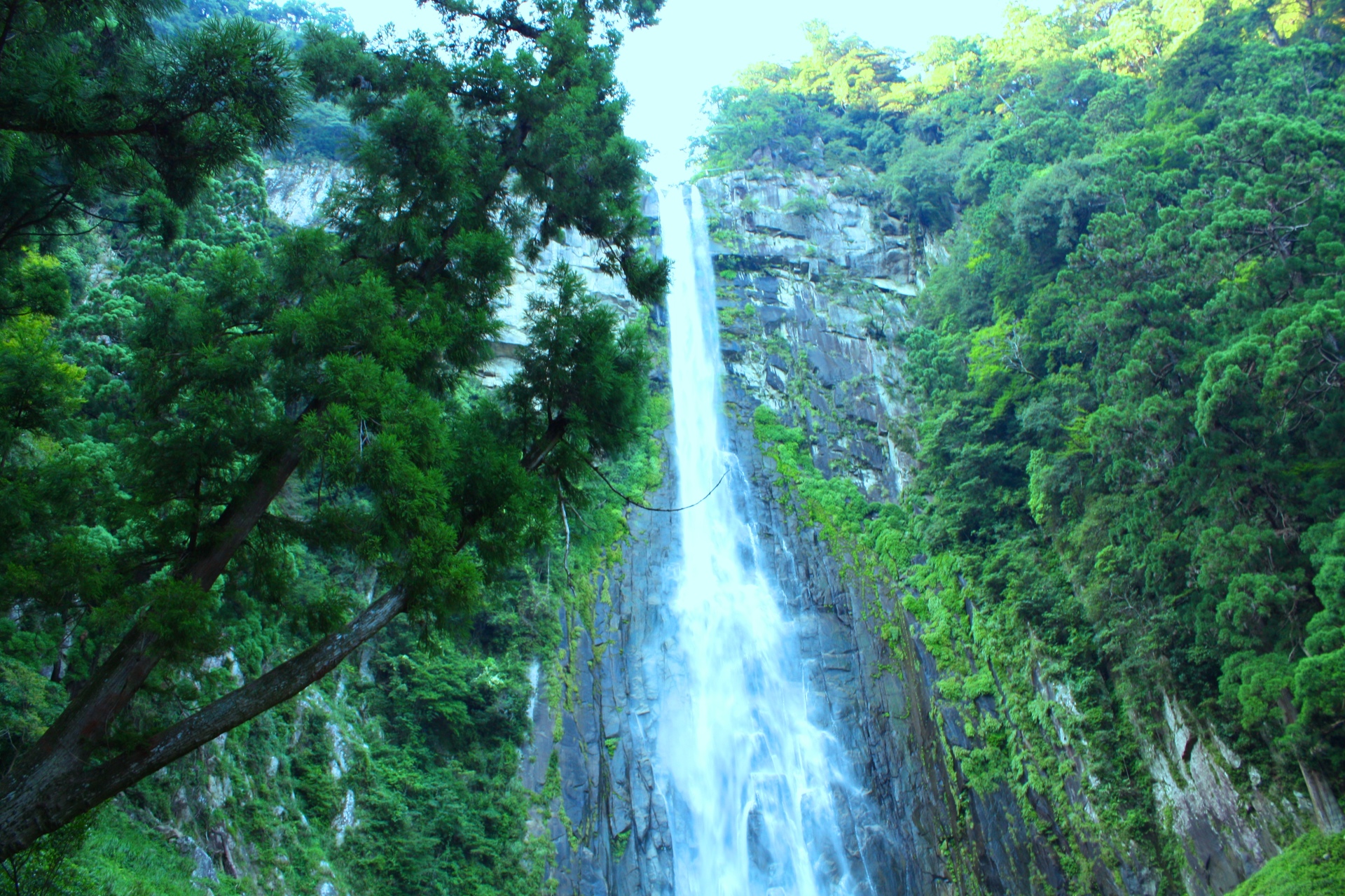 日本の風景 那智の滝 壁紙19x1280 壁紙館