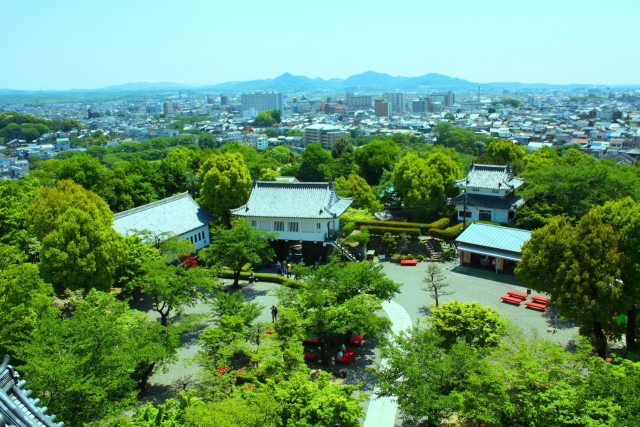 新緑の犬山城