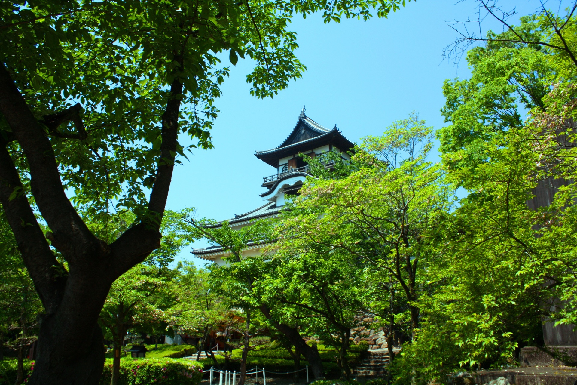 日本の風景 新緑の犬山城 壁紙19x1280 壁紙館