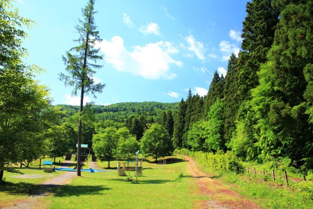 新緑の公園