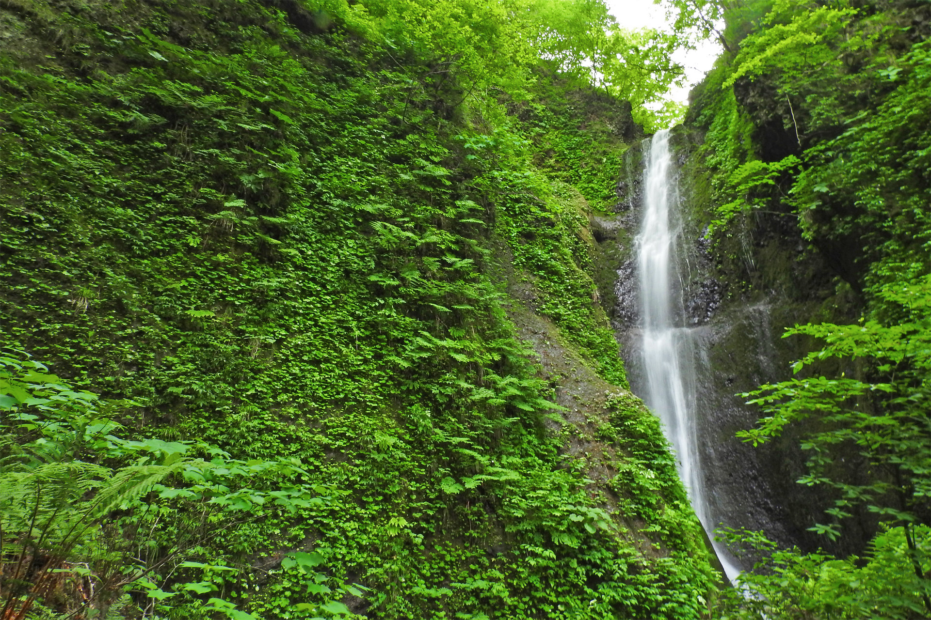 日本の風景 初夏の緑に囲まれる桂の滝5 壁紙19x1280 壁紙館