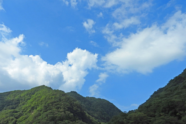 夏空