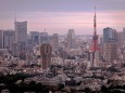 東京タワーの夕景