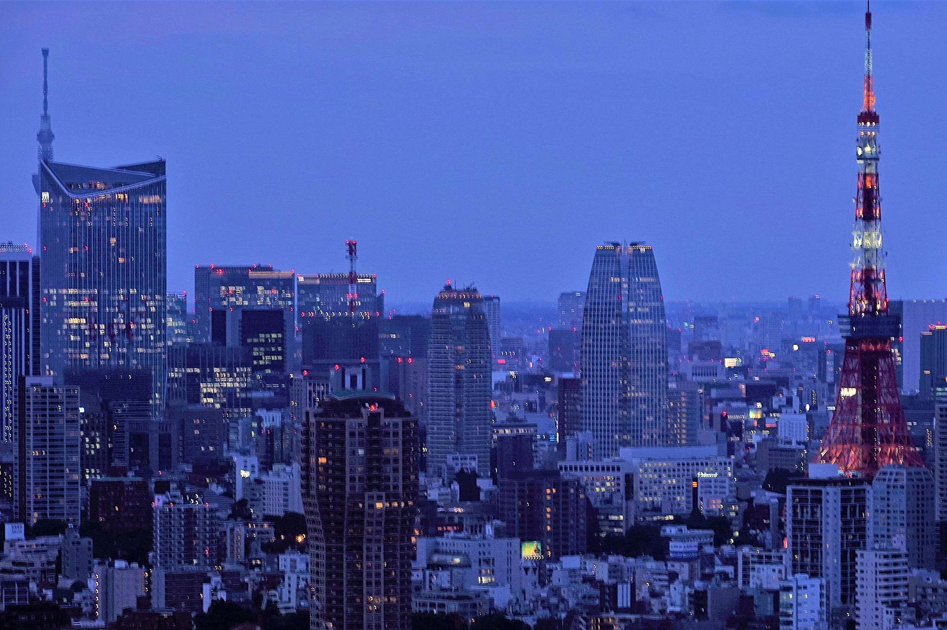 夜景 花火 イルミ 恵比寿から東京タワーを望む 壁紙19x1279 壁紙館