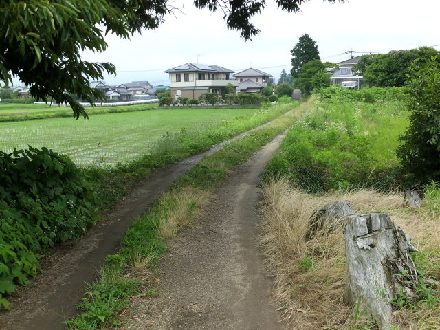 田舎道