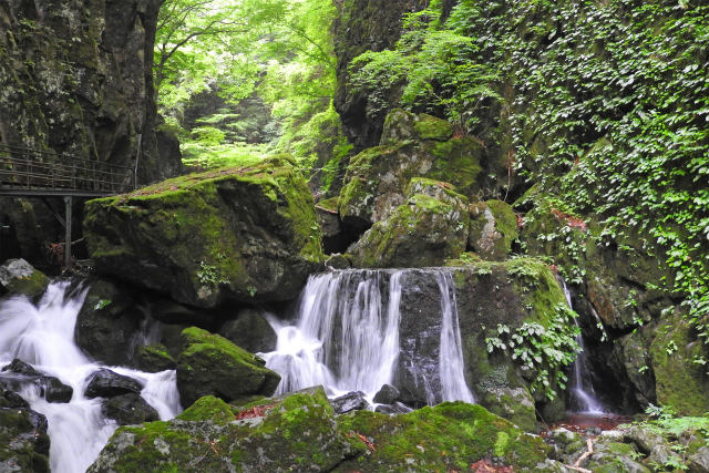 山乗渓谷 夏