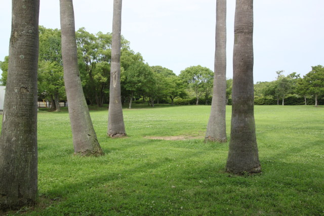 朝の誰もいない公園