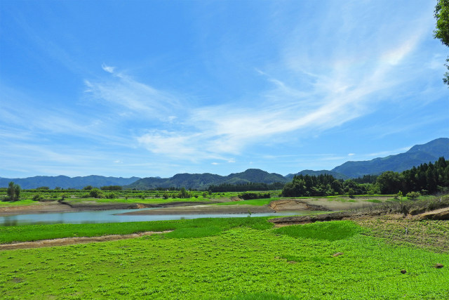 夏の大山池2