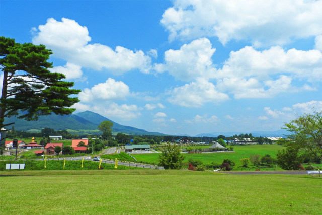 蒜山高原 夏