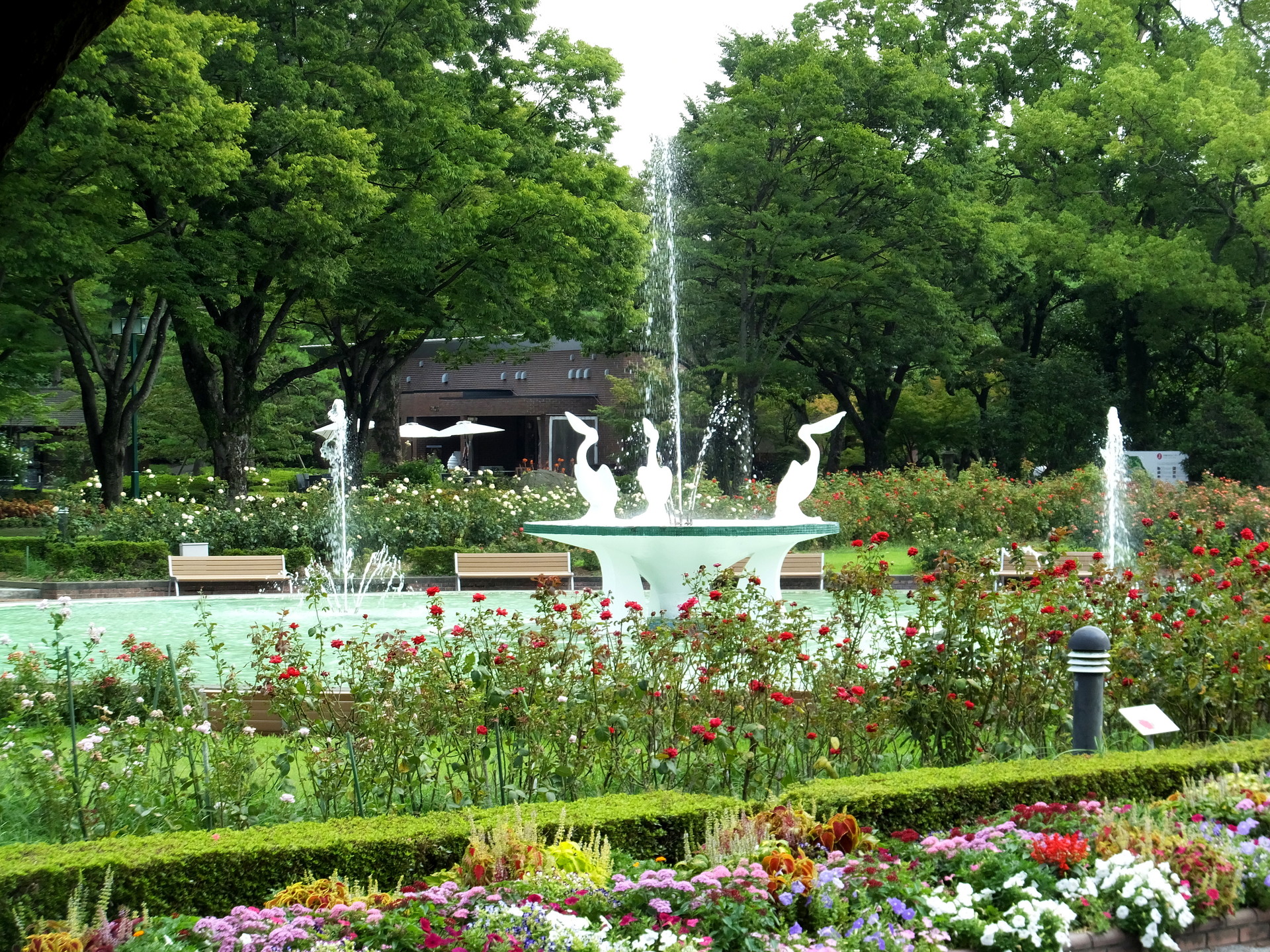 日本の風景 もうすぐ梅雨明け 壁紙19x1440 壁紙館