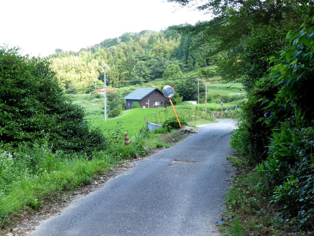 田舎道