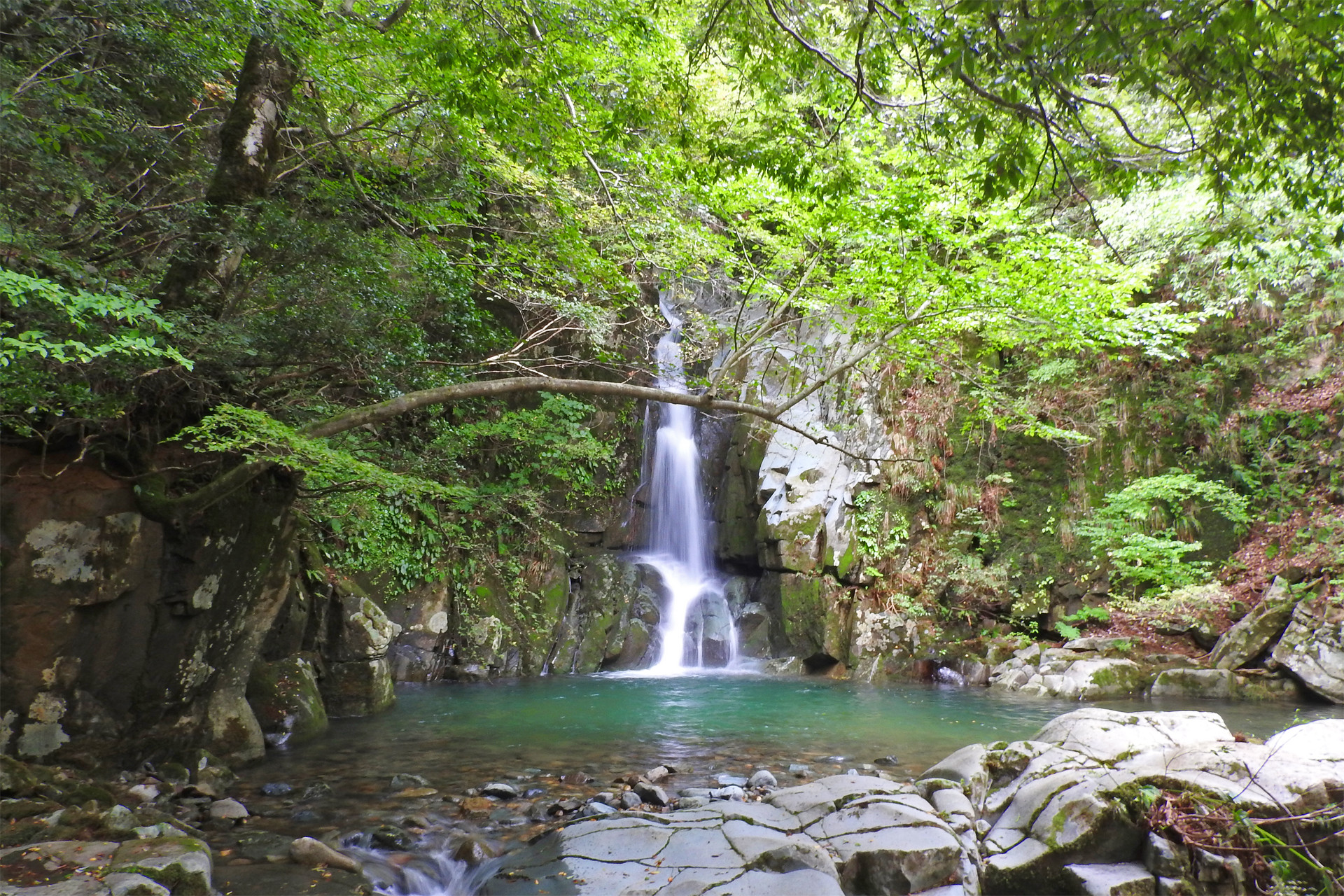 日本の風景 阿瀬渓谷 滝 夏 壁紙19x1280 壁紙館