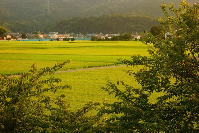 江上の夕暮れ時