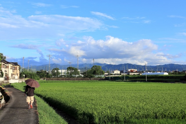 田舎の風景