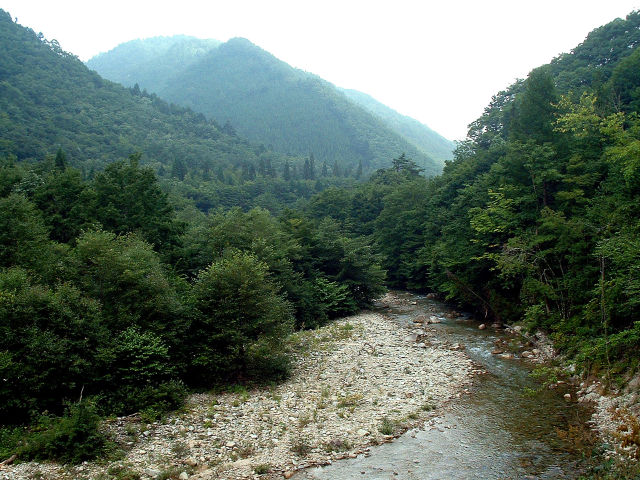 小原川中流