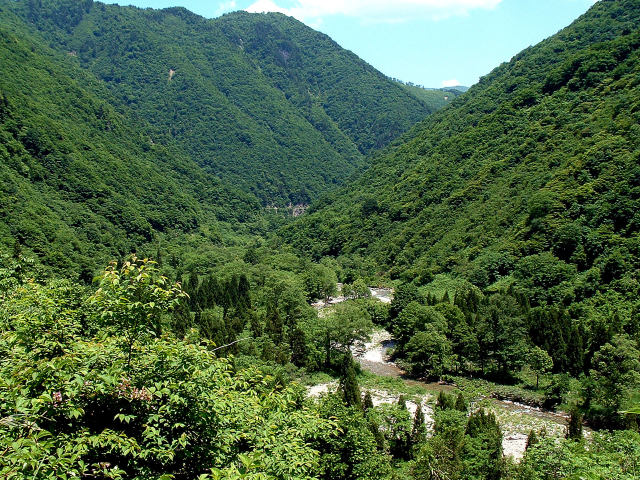 廃村加須良