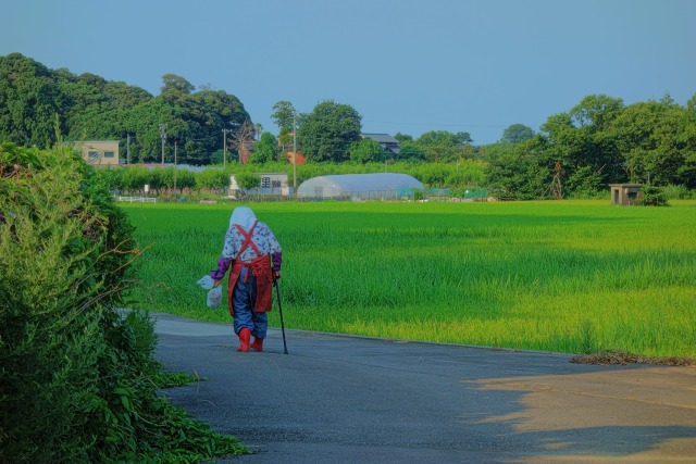 ヒグラシ鳴く帰路