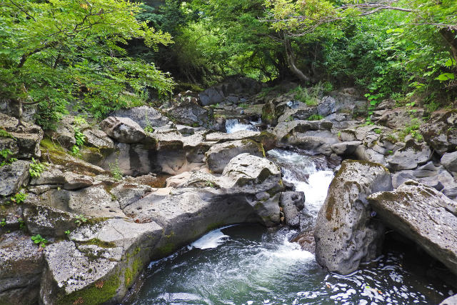 神鍋渓谷 夏4