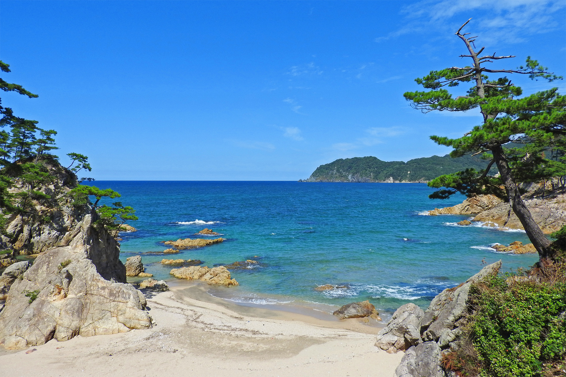 日本の風景 砂浜と岩と松 夏 壁紙19x1280 壁紙館