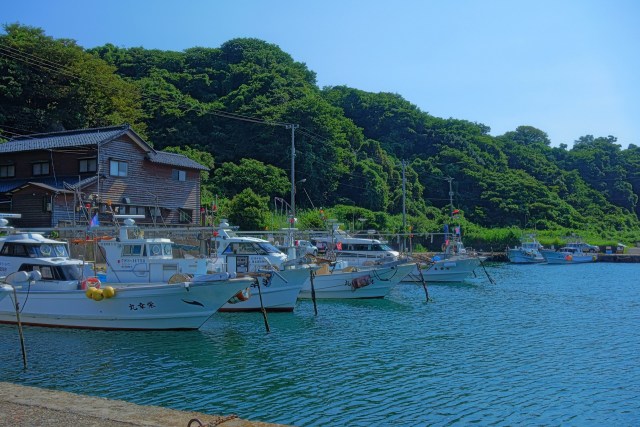 夏の鷹巣漁港#5