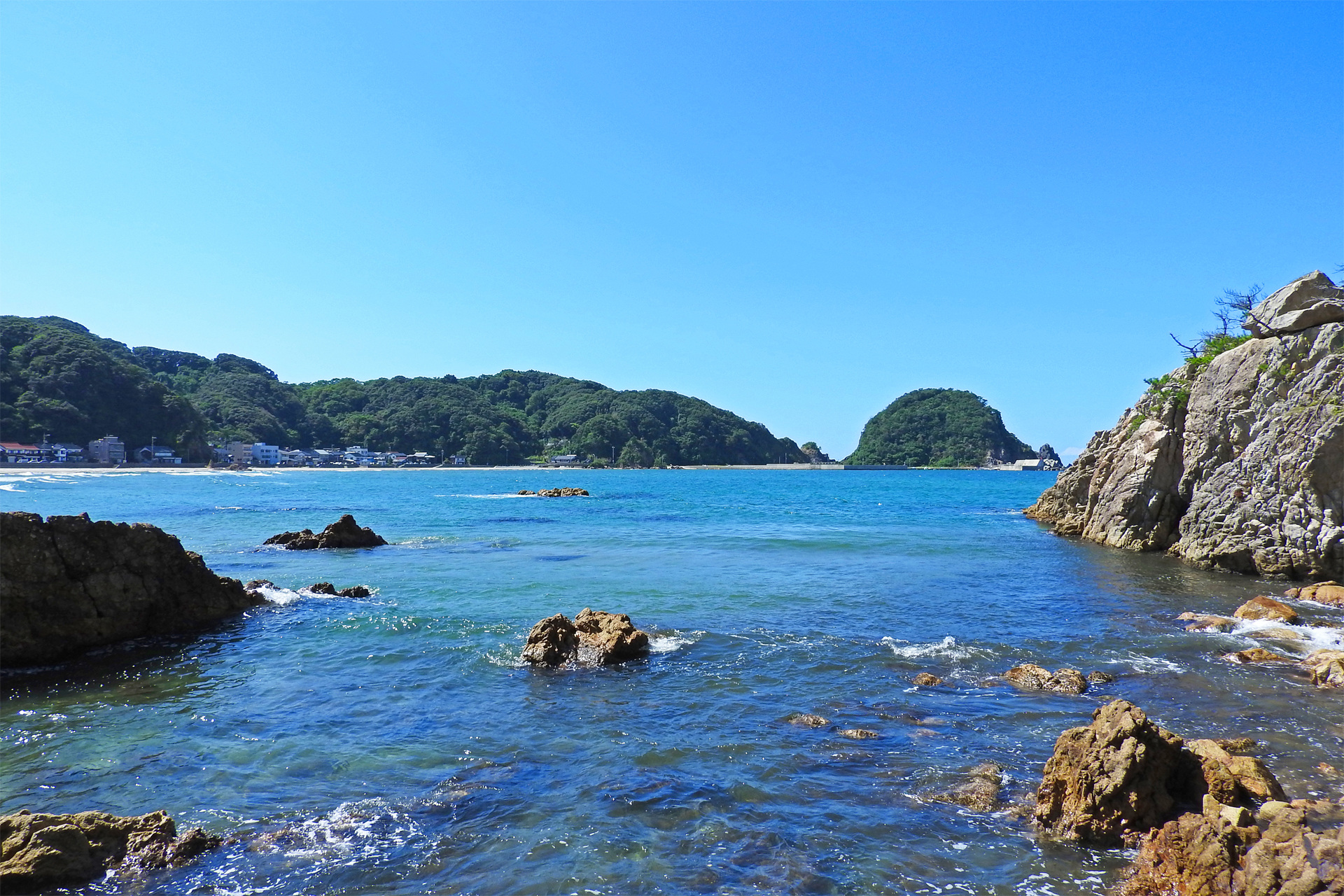 すべての花の画像 新鮮な壁紙 夏 海