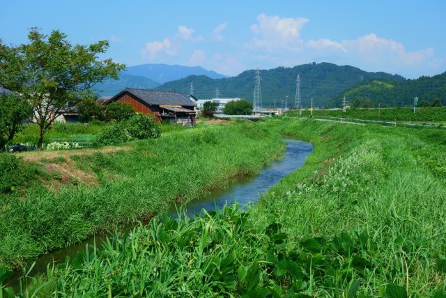 夏の荒川