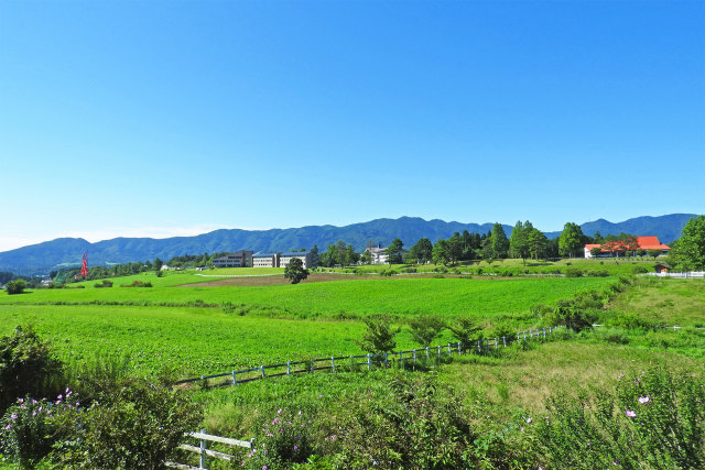 秋へ 蒜山高原4