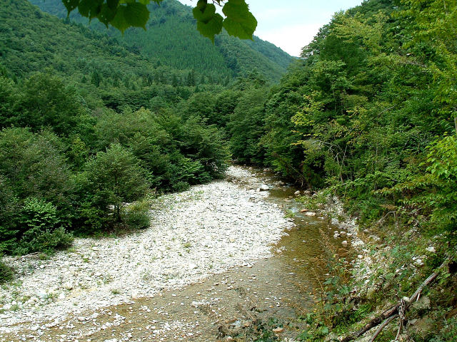 小原川上流