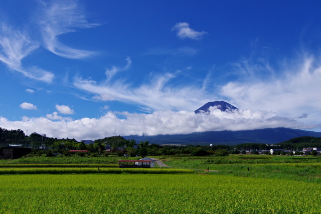 初秋の富士山