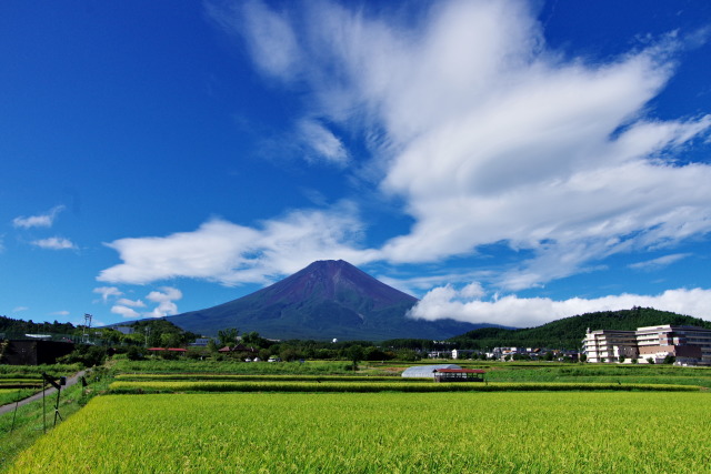 秋空と富士山