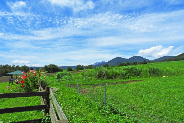 秋へ 蒜山高原8 牧場