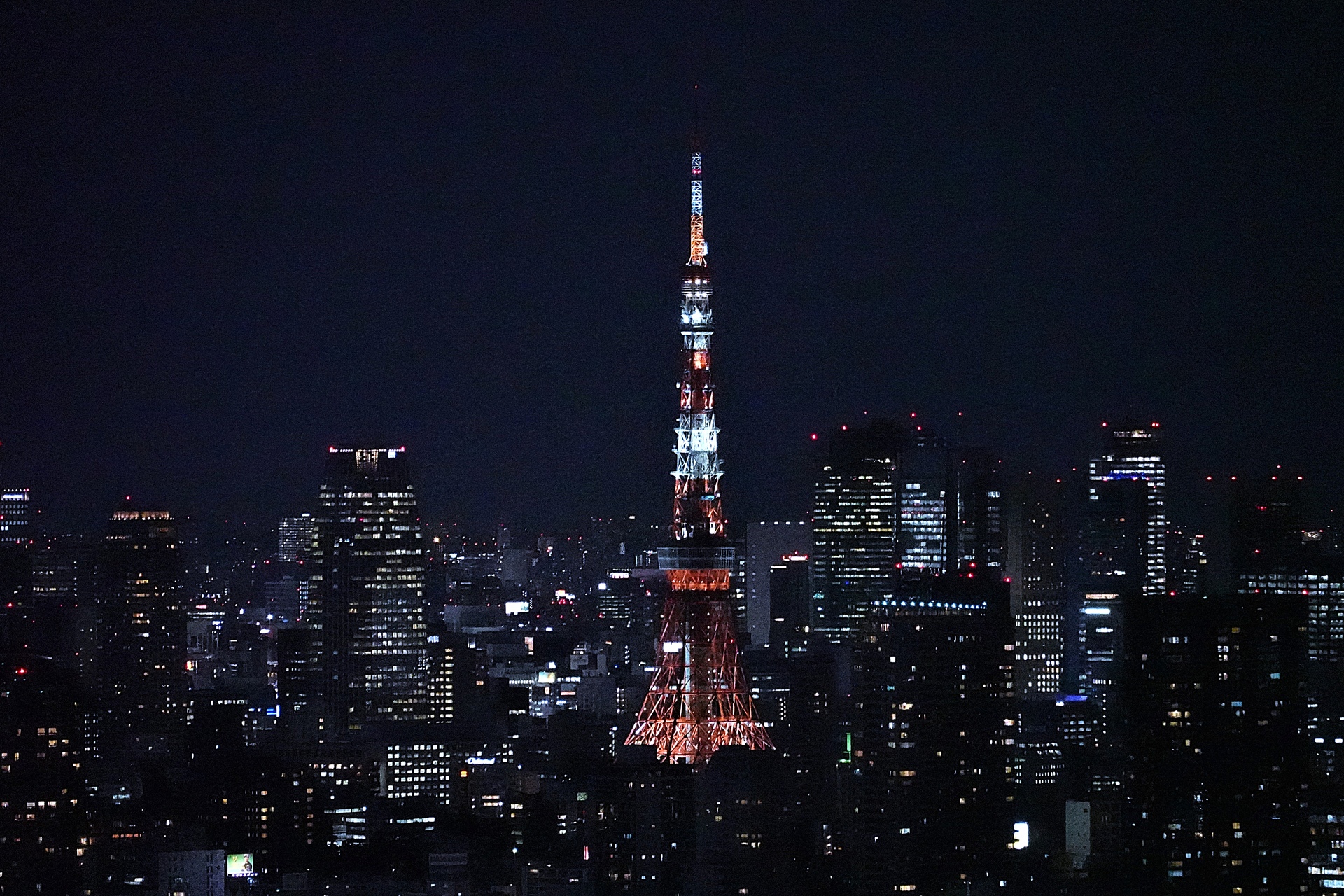 夜景 花火 イルミ 東京タワーを望む 壁紙19x1280 壁紙館
