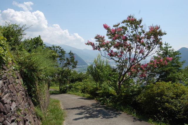 荒砥城からの道 2019年夏