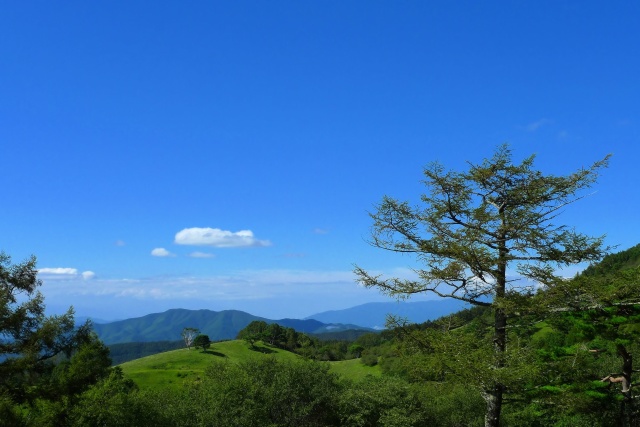 秋晴れの草原