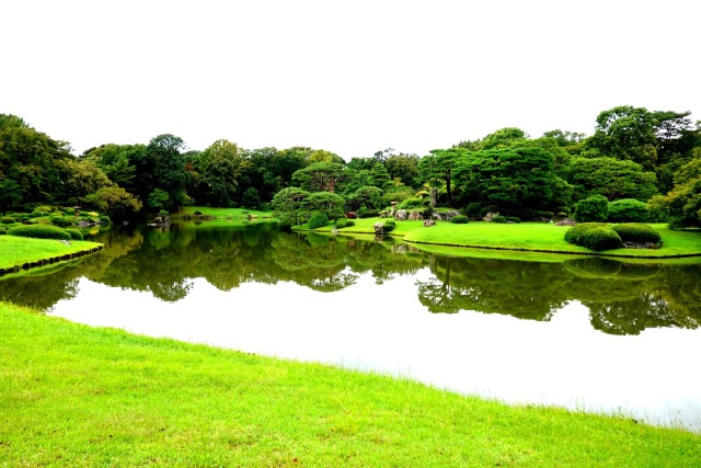 六義園の風景