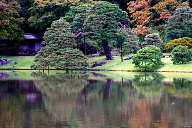 六義園の庭園風景