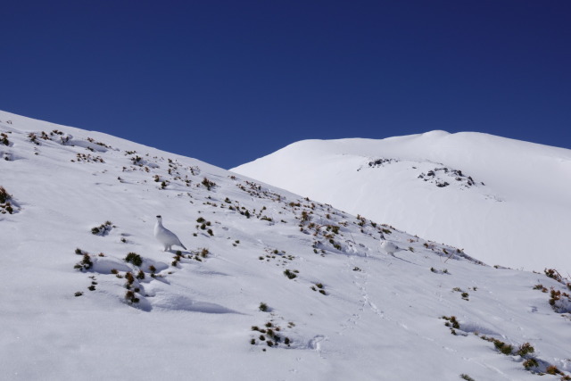 立山にて1