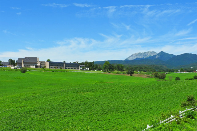 秋へ 蒜山高原13