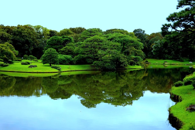 六義園の庭園風景