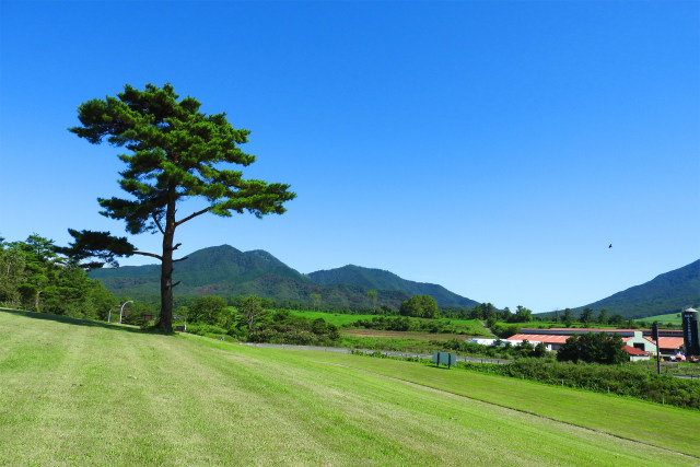 秋へ 蒜山高原15