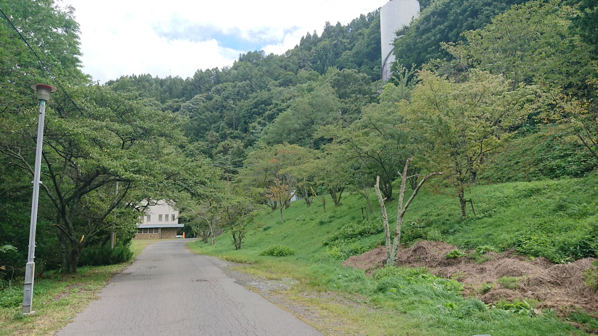 日本の風景 壮大な魅せる緑 壁紙19x1080 壁紙館