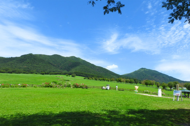 秋へ 蒜山高原16