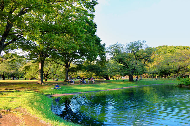 初秋の代々木公園・3